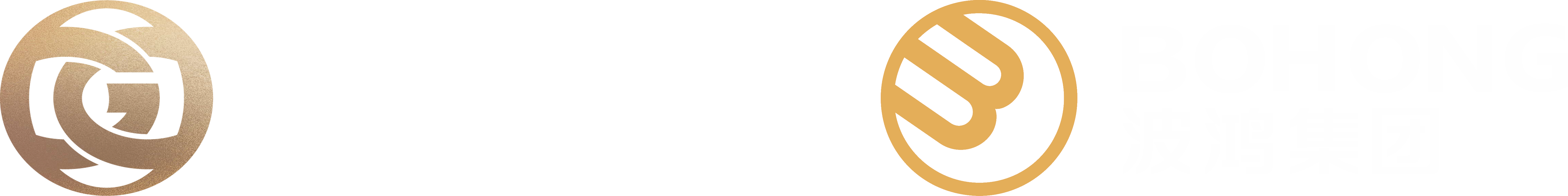 波鴻集團